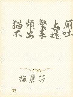 猫频繁上厕所尿不出来还吐