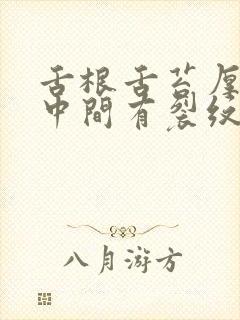 舌根舌苔厚白腻中间有裂纹