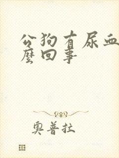 公狗有尿血是怎么回事