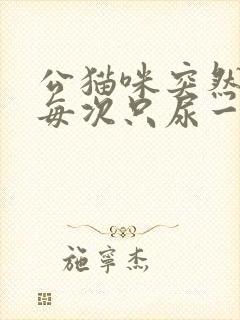 公猫咪突然尿频每次只尿一点