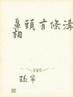 鼻头有条沟的面相