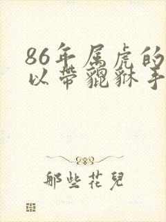 86年属虎的可以带貔貅手链吗