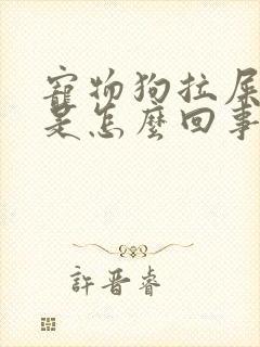 宠物狗拉屎带血是怎么回事