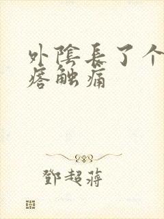 外阴长了个硬疙瘩触痛