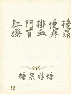 肛门排便后用纸擦有血疼痛感