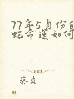 77年5月份的蛇命运如何