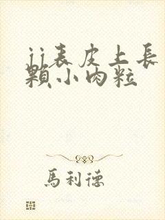 jj表皮上长一颗小肉粒