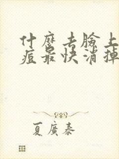 什么去脸上的痘痘最快消掉