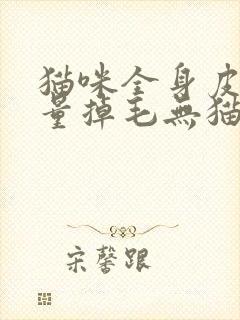 猫咪全身皮屑大量掉毛无猫藓