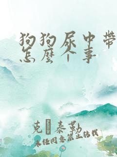 狗狗尿中带血是怎么个事