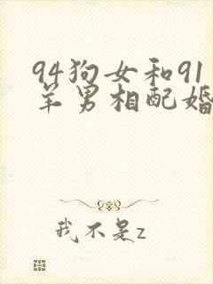 94狗女和91羊男相配婚姻如何