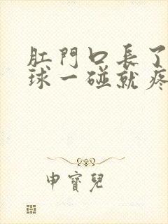 肛门口长了个肉球一碰就疼