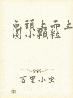 龟头上面上长一圈小颗粒