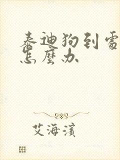 泰迪狗到处乱尿怎么办