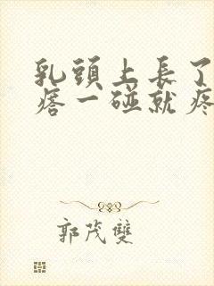 乳头上长了小疙瘩一碰就疼