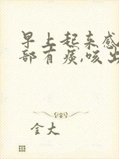 早上起来感觉肺部有痰,咳出来的痰