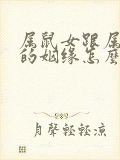 属鼠女跟属鸡男的姻缘怎么样