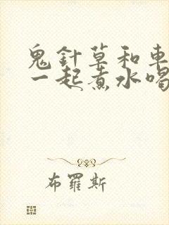 鬼针草和车前草一起煮水喝的功效