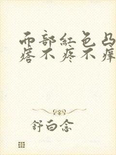 面部红色凸起疙瘩不疼不痒