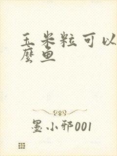 玉米粒可以钓什么鱼