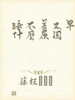 睡不着又早醒是什么原因