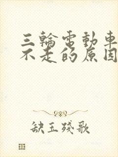 三轮电动车有电不走的原因及故障排除