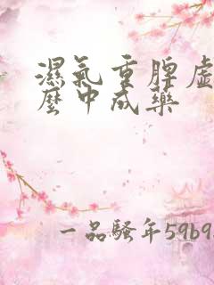 湿气重脾虚吃什么中成药