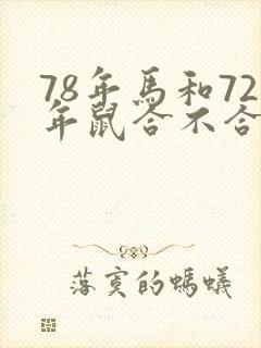 78年马和72年鼠合不合婚姻