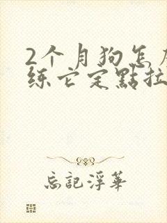 2个月狗怎么训练它定点拉尿