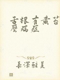 舌根有黄苔是什么病症