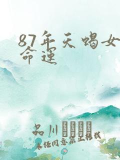87年天蝎女的命运
