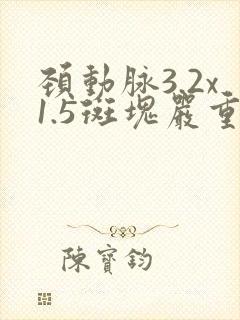 颈动脉3.2x1.5斑块严重吗