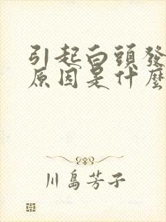 引起白头发什么原因是什么