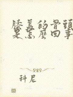 膝盖的骨头缝疼是怎么回事