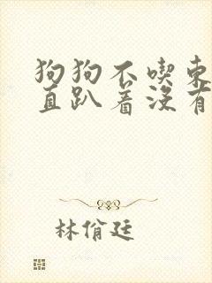 狗狗不吃东西一直趴着没有精神