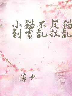 小猫不用猫砂盆到处乱拉乱尿