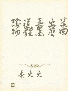 阴道长出菜花状物体怎么回事