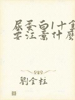 尿蛋白1十饮食要注意什么