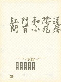 肛门和阴道口中间有小疙瘩