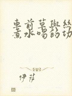 车前草与丝瓜络煮水喝的功效