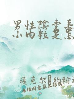 男性阴囊长很多小肉粒是怎么回事