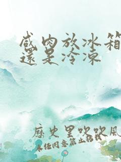 咸肉放冰箱冷藏还是冷冻