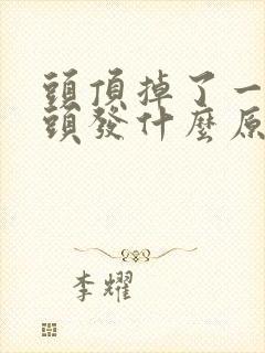 头顶掉了一小块头发什么原因