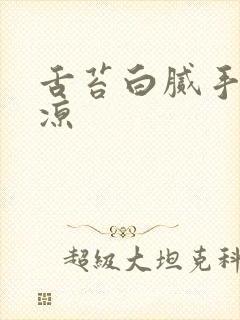 舌苔白腻手脚冰凉