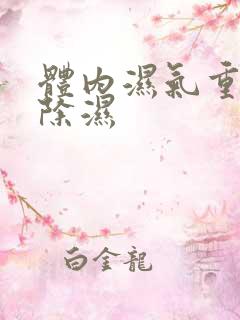 体内湿气重快速除湿