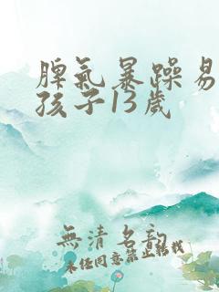 脾气暴躁易怒的孩子13岁