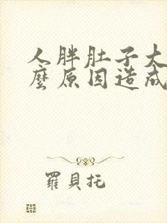 人胖肚子大是什么原因造成的