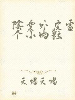 阴囊外皮处长了个小肉粒