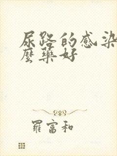 尿路的感染吃什么药好