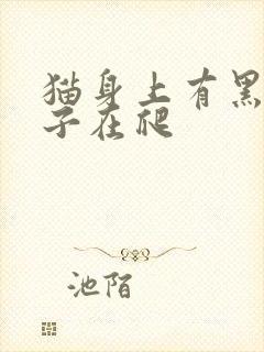 猫身上有黑色虫子在爬